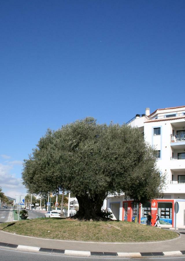 Appartement Monica Moraira Zewnętrze zdjęcie